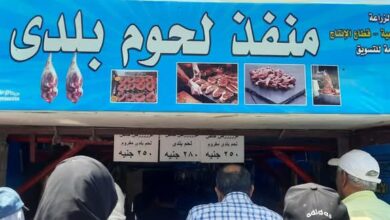 إقبال كبير من المواطنين على منافذ وزارة الزراعة لشراء لحوم عيد الأضحى 