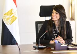 وزيرة التخطيط والتنمية تبحث مع وفد مؤسسة «جولدمان ساكس» 