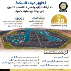 خطة الدولة لتحويل مصر إلى مركز إقليمي للنقل واللوجستيات وتجارة الترانزيت