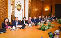 وزير الخارجية والهجرة يتابع جهود الوزارة فى رعاية المواطنين المصريين بالخارج