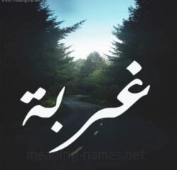 الحلم في صندوق