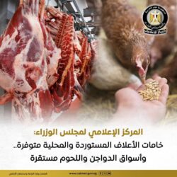 خامات الأعلاف المستوردة والمحلية متوفرة.. وأسواق الدواجن واللحوم مستقرة 