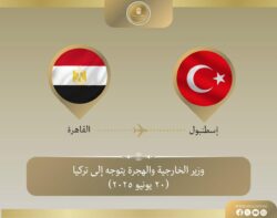 وزير الخارجية يتوجه إلى اسطنبول
