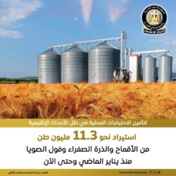 مصر  إتخذت إجراءات استباقية للأزمات الإقليمية الراهنه