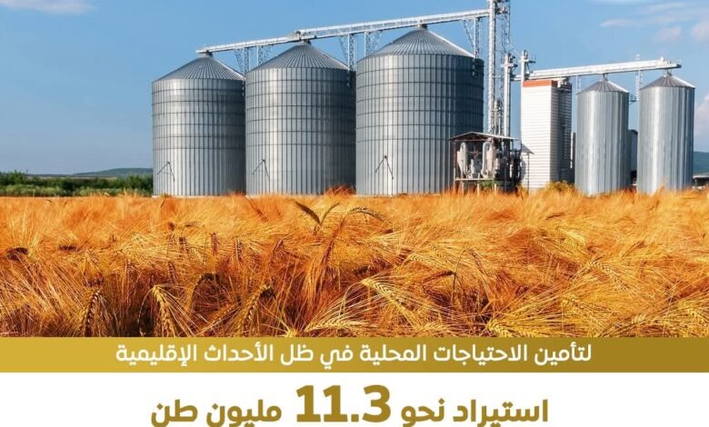 مصر  إتخذت إجراءات استباقية للأزمات الإقليمية الراهنه