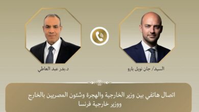 وزير الخارجية ونظيره الفرنسي يؤكدان أهمية استئناف وقف إطلا/ق الن/ار فى غزة