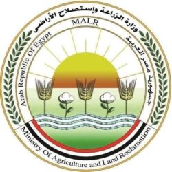 علاج اكتر من 37 ألف رأس ماشية وتلقيح أكثر من 42 ألف من الجاموس والأبقار 