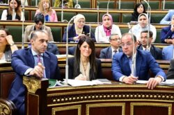 وزيرة التخطيط والتعاون الدولى قامت بمشاركتها في الجلسة العامة بمجلس النواب