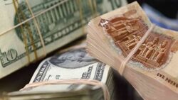 أسعار العملات العربيه والأجنبيه اليوم الثلاثاء 10/6/2025 في مصر 