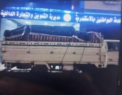 تموين الإسكندرية ضبط سيارة محملة عدد 350 كرتونة زيت طعام مجهوله المصدر
