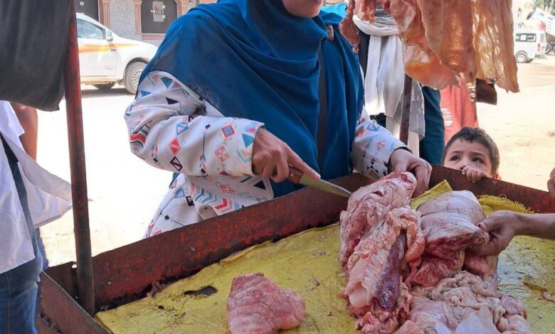 طب بيطري سوهاج تستعد لعيد الأضحى المبارك