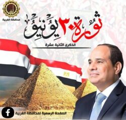 محافظ الغربية يهنئ الرئيس السيسي بذكرى 30 يونيو