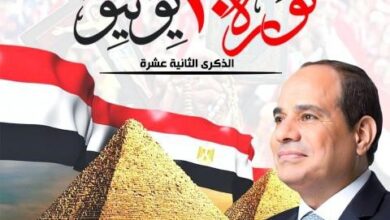 محافظ الغربية يهنئ الرئيس السيسي بذكرى 30 يونيو