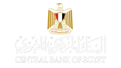البنك المركزي: إصدار العديد من التعليمات الرقابية