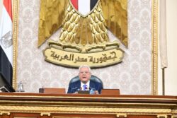 مجلس النواب يوافق على إستقالة 8 من أعضائه للترشح لانتخابات  الشيوخ