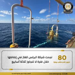 نجحت شركة البرلس للغاز في وضع البئرين "سبارو ويست-1"