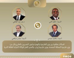 وزير الخارجية يواصل اتصالاته المكثفة لخفض التصعيد بالمنطقة