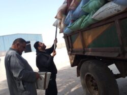 تموين الاقصر