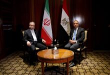 وزير الخارجية ونظيره الإيراني يبحثان تطورات الملف النووي والأوضاع الكار-ثية في غزة