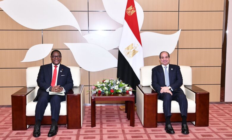 رئيس مالاوي يشيد بالتعاون القائم بين بلاده ومصر