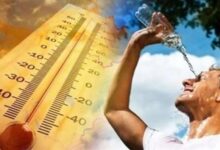 الطقس ودرجات الحرارة المتوقعة في مصر غدا الثلاثاء 5/ أغسطس/2025.
