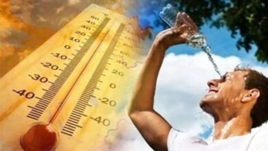 الطقس ودرجات الحرارة المتوقعة في مصر غدا الثلاثاء 5/ أغسطس/2025.