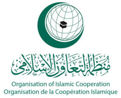 أعمال الدورة الاستثنائية لوزراء خارجية التعاون الإسلامي تبدأ في جدة 