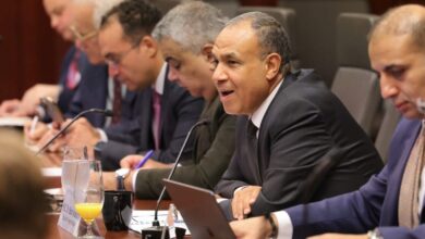 غدًا مباحثات مصرية إيفوارية على مستوى وزيري الخارجية
