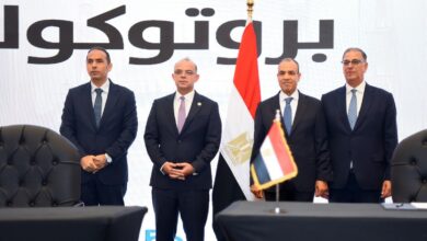 بروتوكول تعاون بين الخارجية وهيئة الرقابة المالية في إطار مبادرة "تأمينك في مصر"