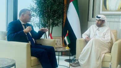 وزير البترول: نرغب في إقامة مشروعات استراتيجية لتعزيز التعاون مع الإمارات.