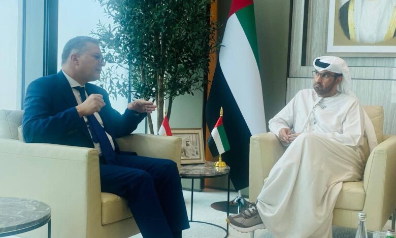 وزير البترول: نرغب في إقامة مشروعات استراتيجية لتعزيز التعاون مع الإمارات.