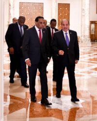 الرئيس السيسي يجدد التأكيد على موقف مصر الثابت والداعم لوحدة السودان