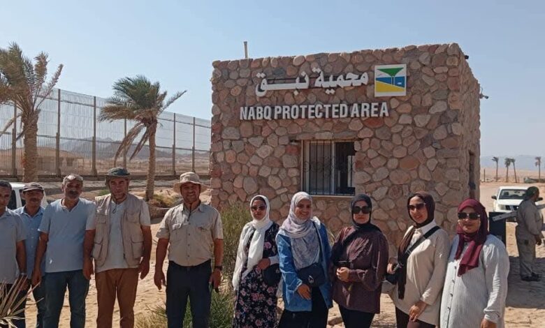 البيئة تنفذ حملة للتخلص من المخلفات والتوعية بمحمية نبق الطبيعية بجنوب سيناء.