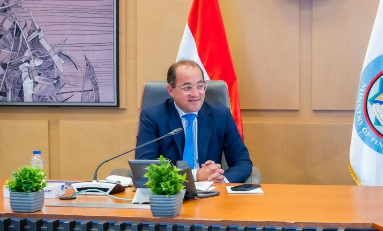 المالية: دعم جهود القطاع الخاص المصرى مع التوسع والنفاذ للأسواق الأفريقية.