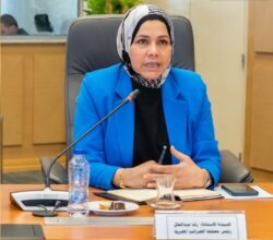 منصة للحوار المستدام بين جمعية رجال الأعمال المصريين الأفارقة  ووزارة المالية