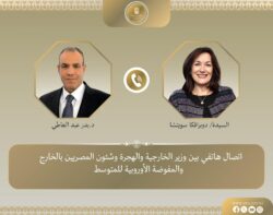 وزير الخارجية يعرب عن التطلع لعقد القمة المصرية  الأوروبية الأولى