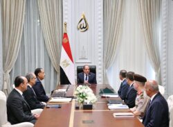 الرئيس السيسى يؤكد أهمية إطلاق مبادرات وإنشاء مراكز لإعداد كوادر مؤهلة. 