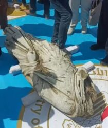 وزير السياحة يشهد بالإسكندرية أول عملية انتشار للآثار الغارقة منذ 25 عاما