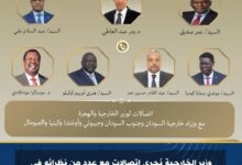 وزير الخارجية يُجري اتصالات مع عدد من نظرائه في الدول الأفريقية