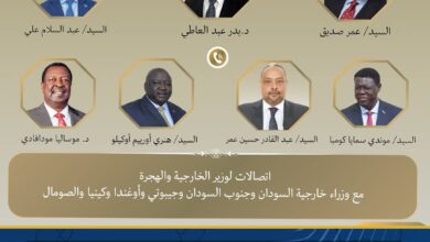 وزير الخارجية يُجري اتصالات مع عدد من نظرائه في الدول الأفريقية