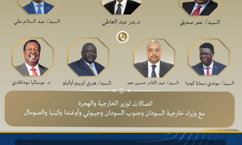 وزير الخارجية يُجري اتصالات مع عدد من نظرائه في الدول الأفريقية