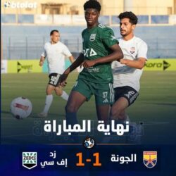 الجونة يخطف تعادلًا قاتلًا من زد في الدقائق الأخيرة بالدوري المصري