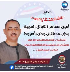 طارق نصار ،المؤتمرات الحاشدة لحزب مستقبل وطن تؤكد أنه حزب الأغلبية 