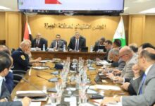 محافظ الجيزة يهنئ الرئيس السيسي وجموع الشعب المصري بذكرى المولد النبوي 