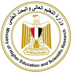التعليم العالي تسجيل رغبات طلاب الدور الثاني فور استلام شهادات النجاح