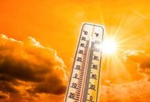 حاله الطقس ودرجات الحرارة المتوقعة غدا في مصر الجمعه 15/أغسطس/2025.
