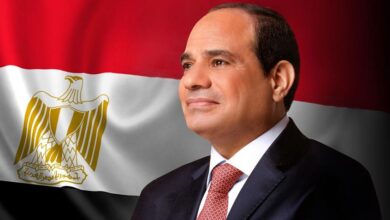 الرئيس السيسي يؤكد لرئيس وزراء هولندا ضرورة احترام القانون والاتفاقيات الدولية