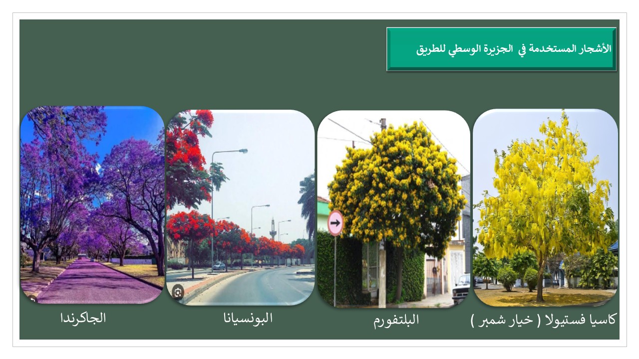 محافظ الإسكندرية استكمال المراحل الإستراتيجية للحد من الاختناقات المرورية