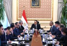 رئيس الوزراء يلتقي رئيس شركة "إيليت سولار" الصينية المُصنعة لمكونات الطاقة.