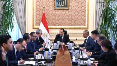 رئيس الوزراء يلتقي رئيس شركة "إيليت سولار" الصينية المُصنعة لمكونات الطاقة.